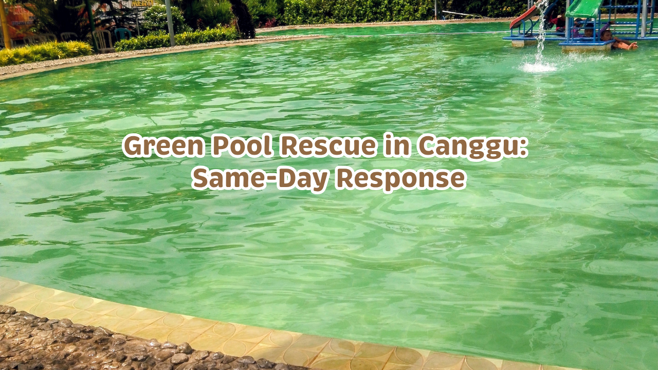 Green Pool Rescue in Canggu: Same-Day Response