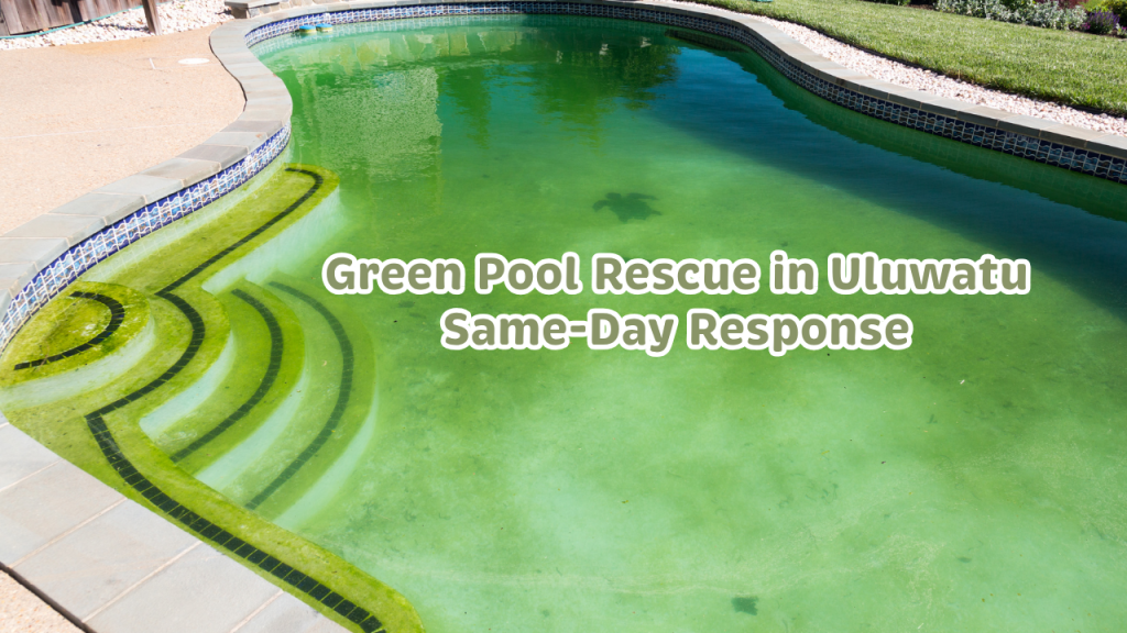 Green Pool Rescue in Uluwatu: Same-Day Response