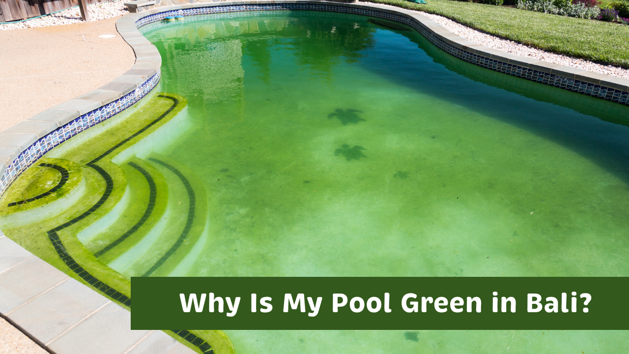 Why Is My Pool Green in Bali — And How to Fix It Fast